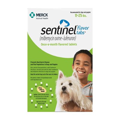 Sentinel for Dogs