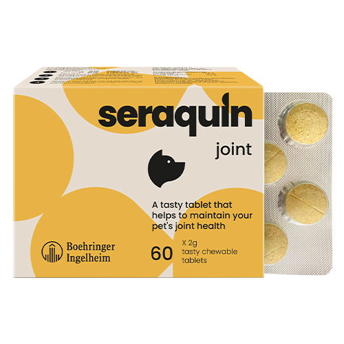 Seraquin