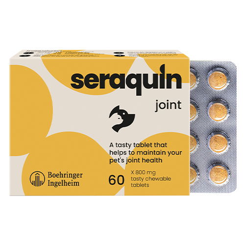 Seraquin