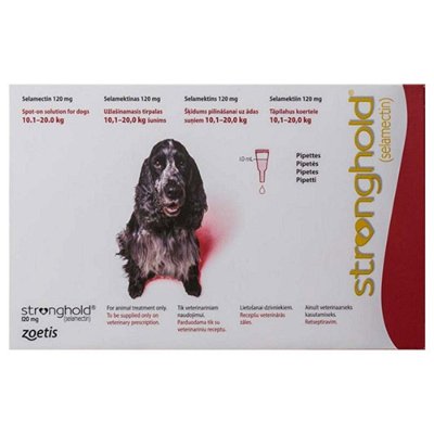 Stronghold Dogs 22lbs - 44lbs (10.1-20.0 Kg)120 Mg Red