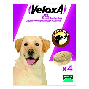 Veloxa XL Chewable Tablets for Large Dogs up to 35 kg