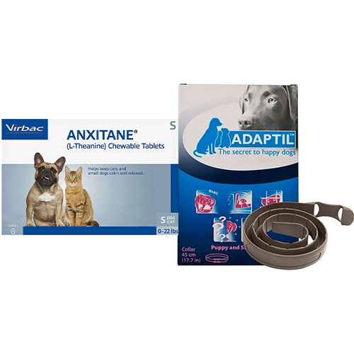 Flat 12% OFF on Anxitane & DAP Collar Combo Packs for Dog