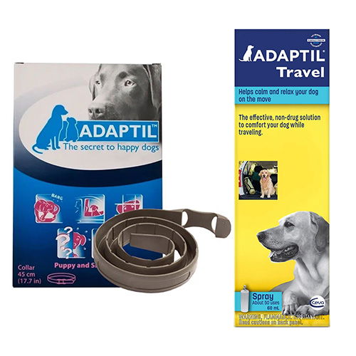 Flat 12% OFF on DAP Collar & DAP Spray Combo Packs for Dog